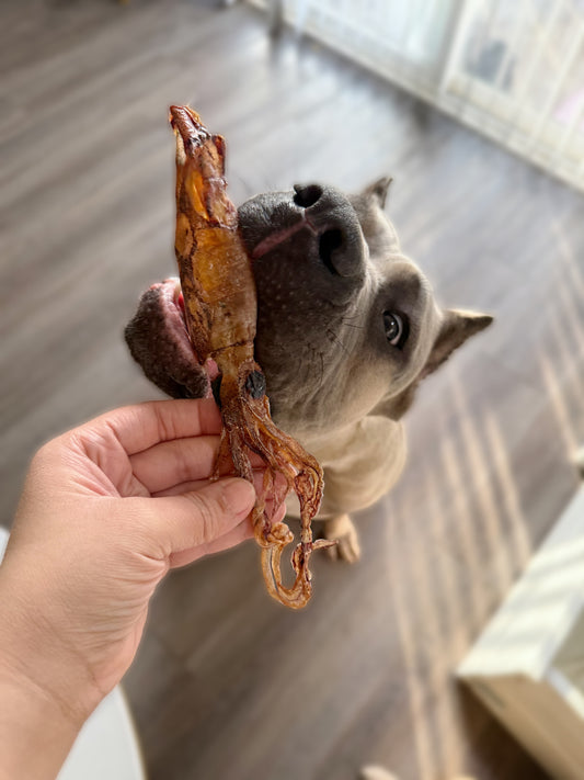 Whole Squid Chews