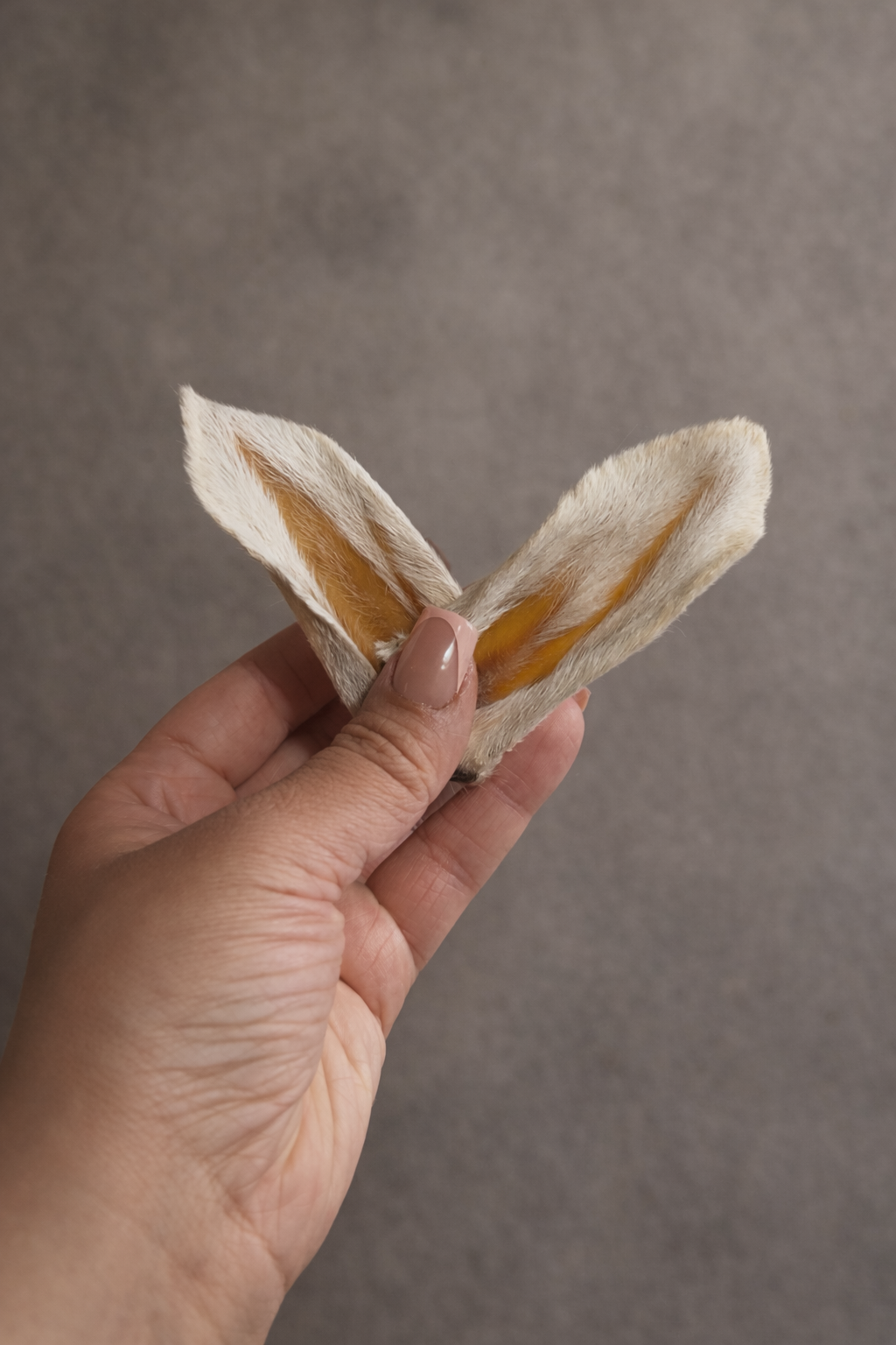 Fuzzy Lamb Ears