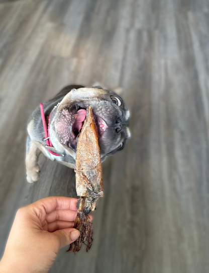 Whole Squid Chews