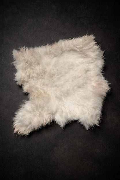 Rabbit Hide Plates