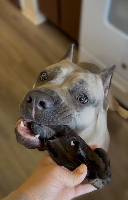 Fuzzy Cow Ear Chews