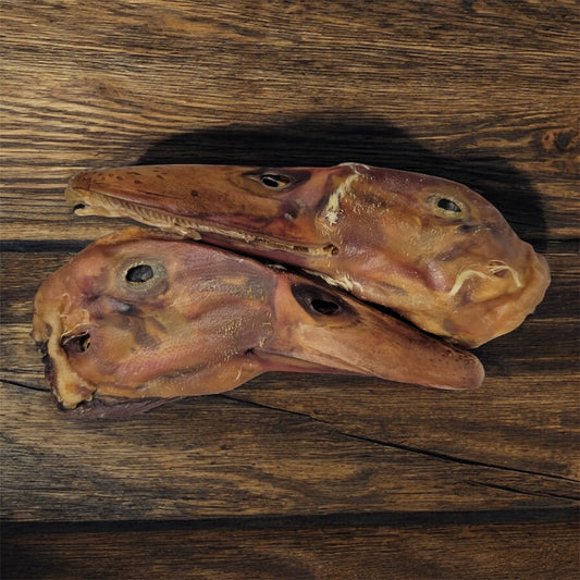 Duck Head