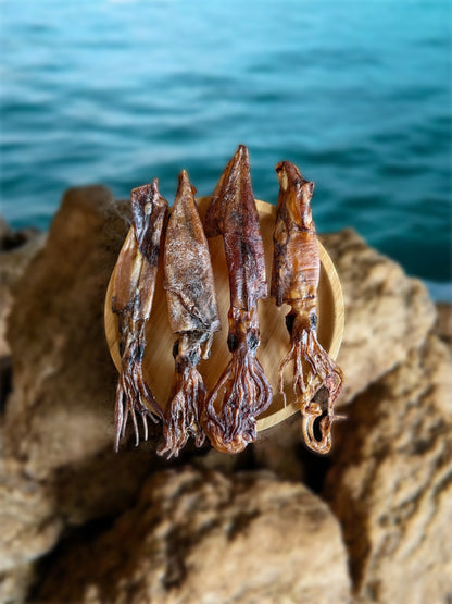 Whole Squid Chews
