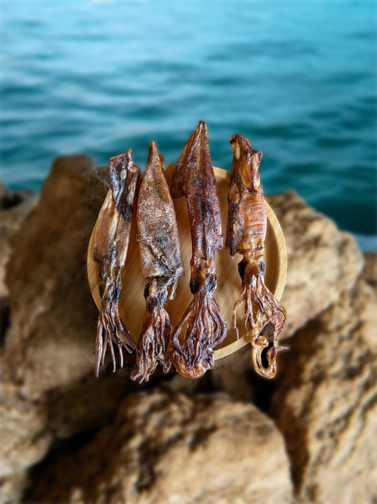 Whole Squid Chews