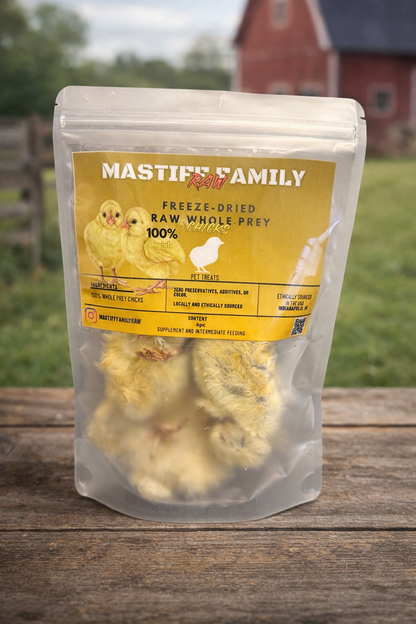 Whole Baby Chicks