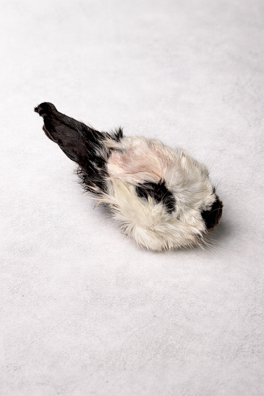 Whole Rabbit Heads