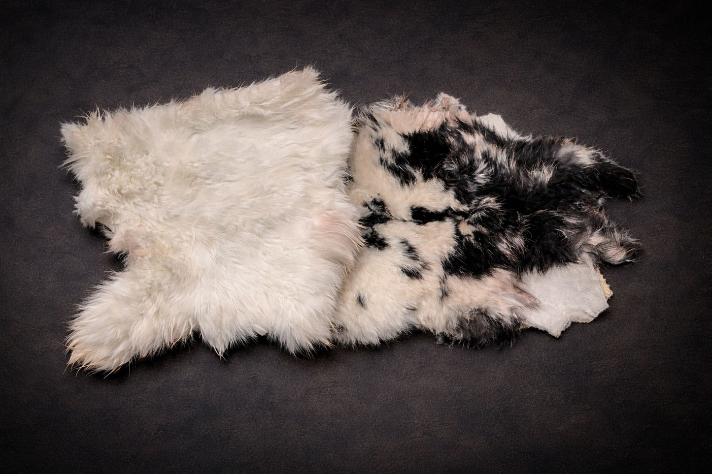 Rabbit Hide Plates